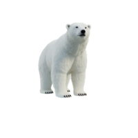 Majestic Polar Bear Standing on Transparent Background Arctic Wildlife png