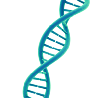 abstrato 3d Renderização do dna Duplo hélice, turquesa e cerceta cor esquema png