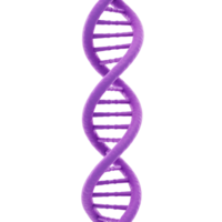 3d render do roxa dna Duplo hélice, genético código, molecular estrutura png