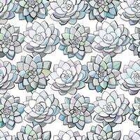 Seamless Pattern of Succulents Detailed Botanical Illustration White Background vector