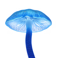 glowing blue mushroom with intricate gills and vibrant cap, showcasing its unique bioluminescent features. This enchanting fungus stands out against transparency background png