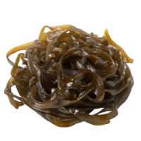 Slimy brown seaweed with tangled appearance, showcasing its unique texture and form. This seaweed is often found in marine environments, adding to underwater ecosystem png