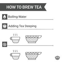 How to brew tea infographic vector
