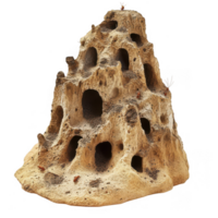 Interconnected termite mound network with multiple small openings, showcasing intricate structures and natural textures. This unique formation highlights complexity of termite architecture png
