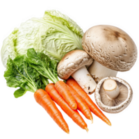 Fresh vegetables including mushrooms, napa cabbage, and carrots create vibrant and healthy display. This colorful assortment is perfect for cooking or salads, evoking sense of freshness png