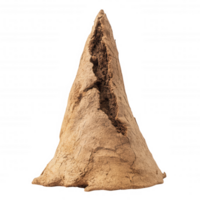 cone shaped termite mound, smooth and triangular, showcasing natural textures and earthy tones. This unique structure highlights intricate work of termites in their habitat png