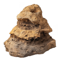flat topped termite mound with broad, plateau like structure, showcasing natural textures and earthy colors. This unique formation highlights intricate work of termites in their habitat png