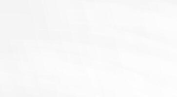 Abstract white geometric minimalist subtle texture background light clean modern vector