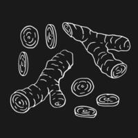 Set of ginger Hand drawn illustration in outline style. vector