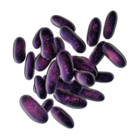 Colorful bacteria with cosmic appearance, showcasing vibrant purple and black hues, creating visually striking representation of microscopic life. unique design evokes curiosity and wonder png