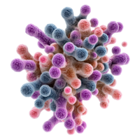vibrant and intricate structure resembling bacterial colony, showcasing various colors and textures that evoke sense of complexity and beauty in microscopic life png