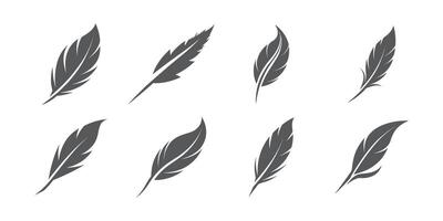 Collection of Eight Feather Illustrations in Various Styles - Detailed, Elegant, and Decorative Art Featuring Diverse Shapes and Patterns vector