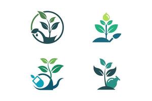 Four Icons of Plant Growth and Watering in Eco-Friendly Design Style vector
