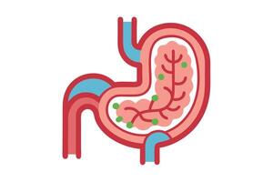 Stomach Structure Design with Green Dots on Lining Isolated on White Background vector