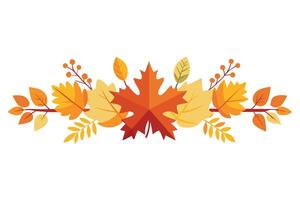 Autumnal Arrangement of Colorful Leaves and Berries with White Background vector