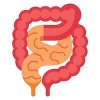 Human Colon Anatomy in Detailed Flat Design on a White Background vector
