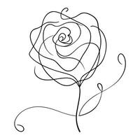 Line Art Rose Flower Outline Drawing on Transparent Background Design Element vector