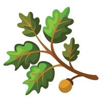 Stylized Oak Branch with Green Leaves and Acorn on White Background vector