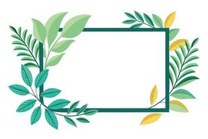 Botanical Rectangular With Green Teal Leaves Foliage White Background vector