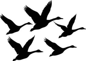 Silhouette of Flying Geese Group, Wings Spread in Flight, Against Transparent Background vector