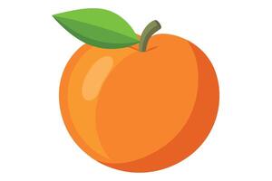Flat Orange Fruit with Green Leaf and Stem on White Background vector