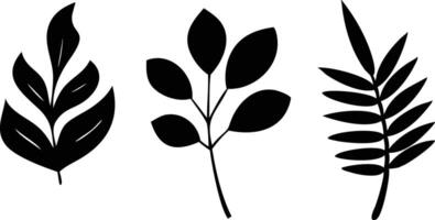 Three Leaves Silhouettes Isolated on White Background Botanical vector