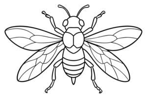 Detailed Wasp Outline with Wings and Antennae on a Transparent Background vector