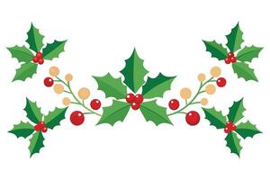 Festive Holly Berry Branches With Red Berries and Green Leaves on White vector