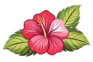 Decorative Red Hibiscus Flower with Green Leaves on Transparent Background vector