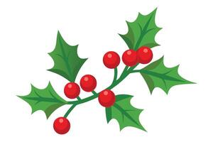 Festive Holly Branch with Glossy Red Berries and Pointed Green Leaves vector