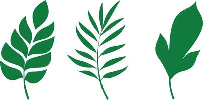 Tropical Green Leaf Set on White Background Design vector