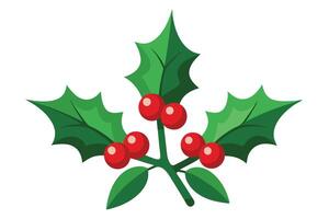 Festive Holly Berry Branch with Glossy Red Berries on White Background vector