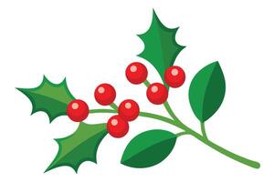 Holly Branch with Red Berries and Green Leaves on a White Background Art vector