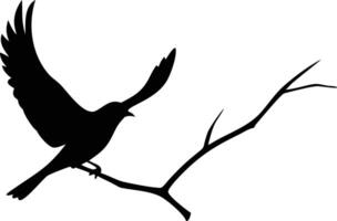 Bird Silhouette Taking Off From Branch On Transparent Background, Wings Upward vector