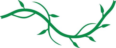 Winding Green Vine with Leaves Element on Transparent Background vector