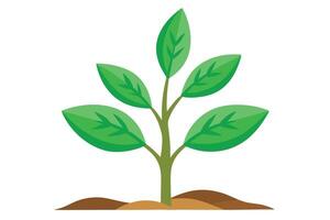 Green Sprout Seedling with Leaves Growing in Soil on a White Background vector