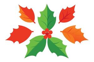 Colorful Holly Berry Leaves Pattern with Red Berries on Transparent Background vector
