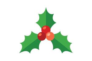 Holly Berry with Green Leaves, Flat Design Style on Transparent Background vector