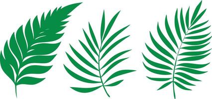 Three Green Palm Leaves Simple Design on Transparent Background Summer Foliage vector