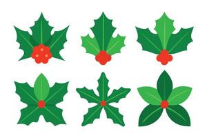 Holly Leaves and Berries Collection Flat Design Elements on Transparent Background vector