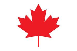 Red Maple Leaf Symbol on a White Backdrop, Nature Emblem, Canadian Icon vector