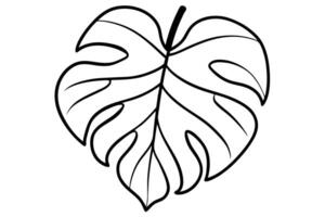 Monstera Leaf Line Art with Detailed Veins on Transparent Background Outlines vector