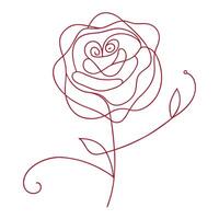Rose Outline Drawing Maroon, Single Line Art, Modern Design on Transparent vector
