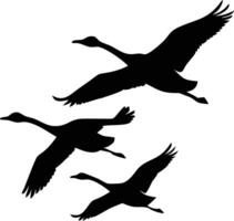 Swans Flying Silhouette Against Transparent Backdrop for Elegant Visuals vector