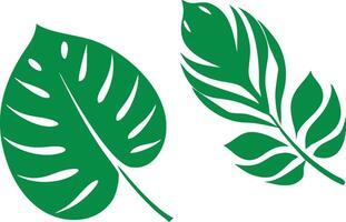 Green Monstera Leaf and Fern Leaf Set Isolated on White Background vector