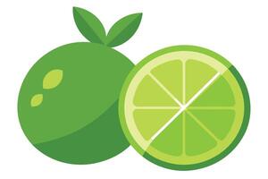 Flat Whole Green Lime Fruit with Leaves and a Slice on White vector