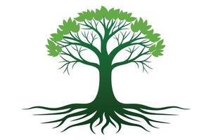 Isolated Green Tree with Roots and Branches on White Background vector