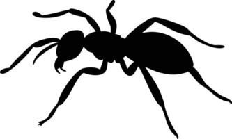 Ant Silhouette on Transparent Background Insect Arthropod Design vector