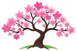Flat Design Cherry Blossom Tree with Pink Flowers, Brown Branches and Green Base on White vector