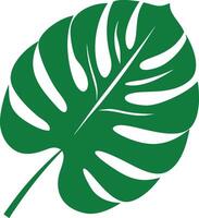 Green Monstera Leaf Silhouette Isolated on a White Background Element vector
